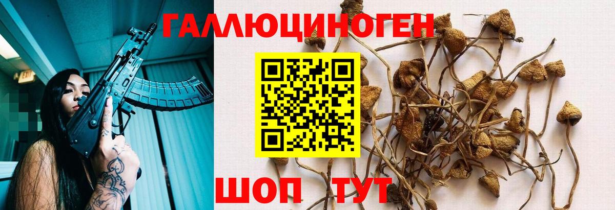 Псилоцибиновые грибы ЛСД Красный Сулин